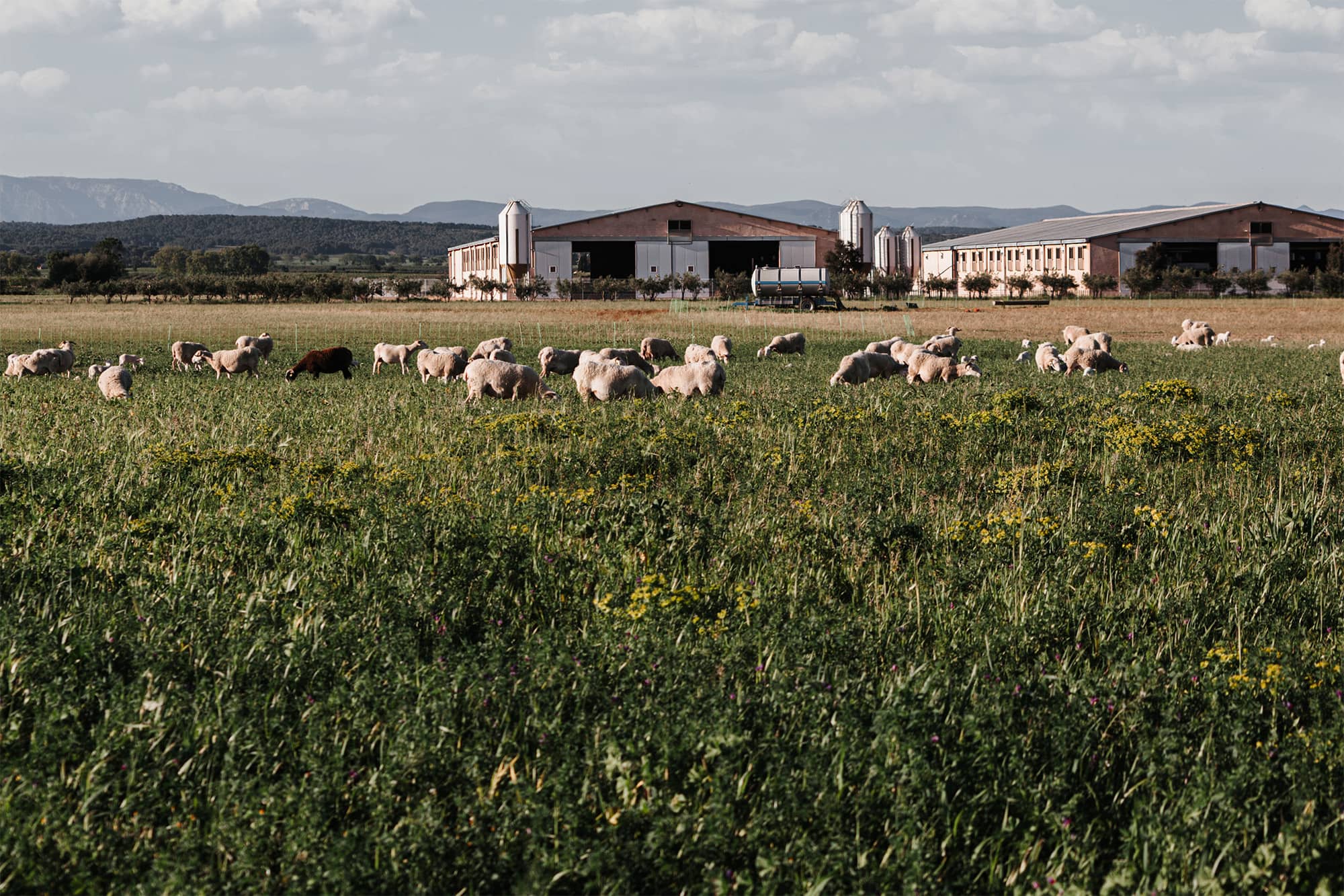 Ferme Goixart