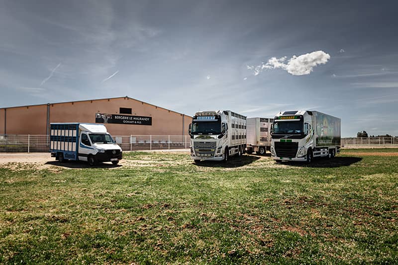 Camions de transport Goixart